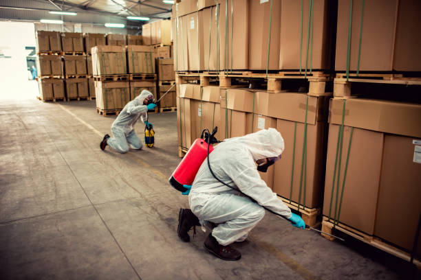 Best Local Pest Control Services  in Foothill Farms, CA