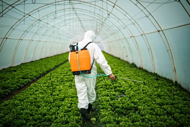 Best Exterminator Services  in Foothill Farms, CA