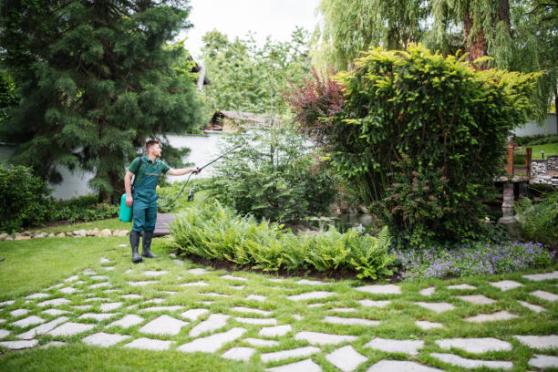 Best Insect Control  in Foothill Farms, CA