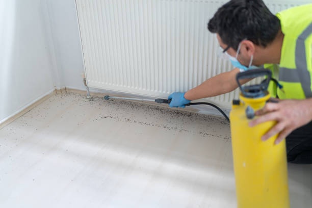 Best Mosquito Control Services  in Foothill Farms, CA